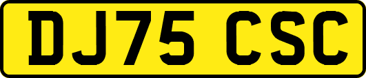 DJ75CSC