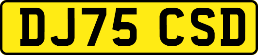 DJ75CSD