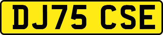 DJ75CSE