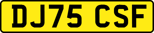 DJ75CSF