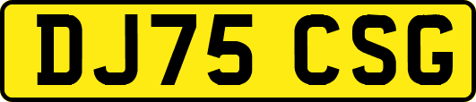 DJ75CSG