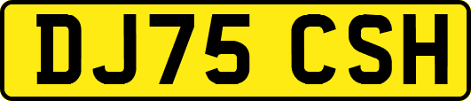 DJ75CSH