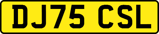 DJ75CSL