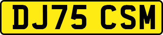 DJ75CSM