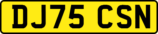 DJ75CSN