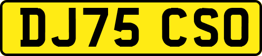 DJ75CSO