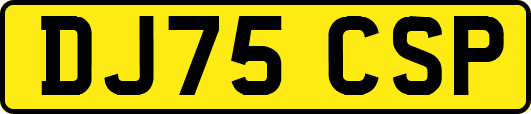 DJ75CSP