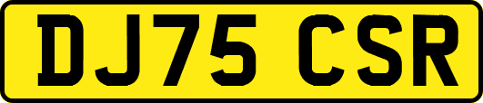 DJ75CSR