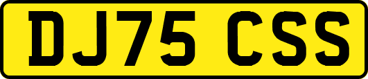 DJ75CSS