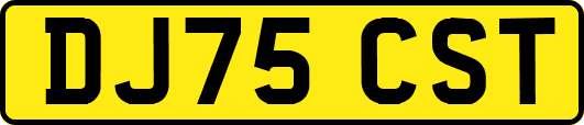 DJ75CST
