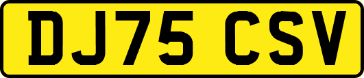 DJ75CSV