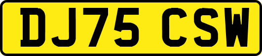 DJ75CSW