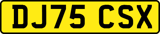 DJ75CSX