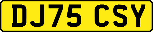 DJ75CSY
