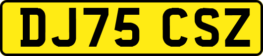 DJ75CSZ