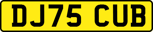 DJ75CUB