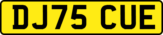 DJ75CUE