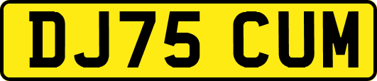 DJ75CUM