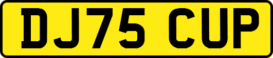 DJ75CUP