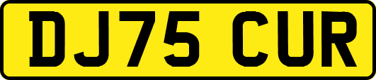 DJ75CUR