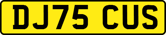 DJ75CUS