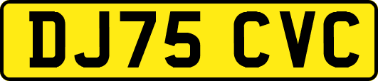 DJ75CVC