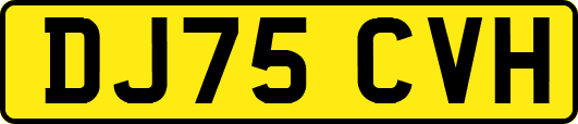 DJ75CVH