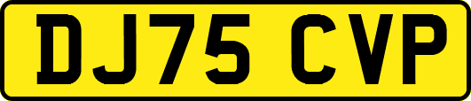 DJ75CVP