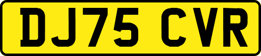 DJ75CVR