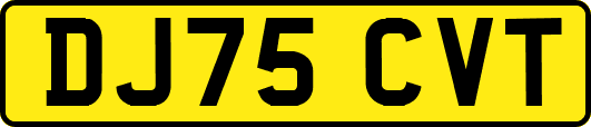 DJ75CVT