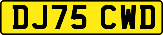 DJ75CWD