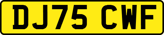 DJ75CWF
