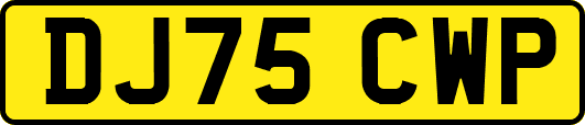 DJ75CWP
