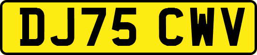 DJ75CWV