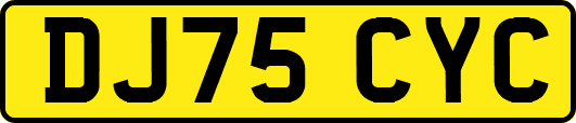 DJ75CYC