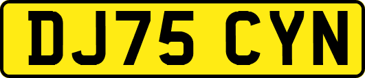 DJ75CYN