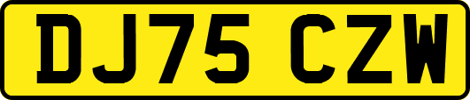 DJ75CZW