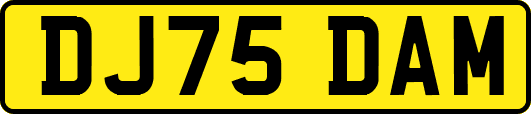 DJ75DAM