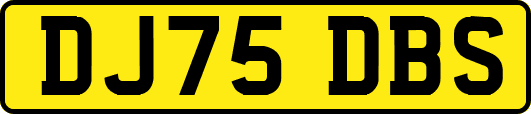 DJ75DBS