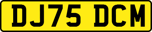 DJ75DCM