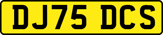 DJ75DCS