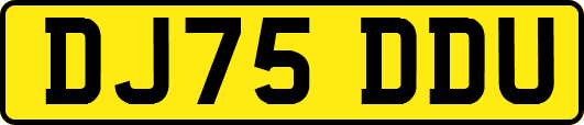 DJ75DDU