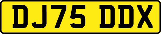 DJ75DDX