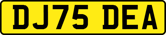 DJ75DEA