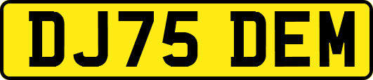 DJ75DEM