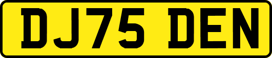 DJ75DEN