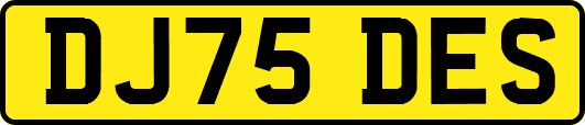 DJ75DES