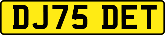 DJ75DET