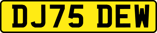 DJ75DEW
