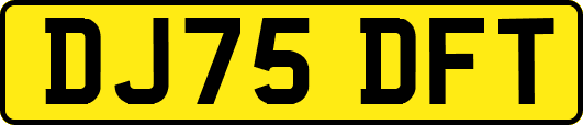 DJ75DFT
